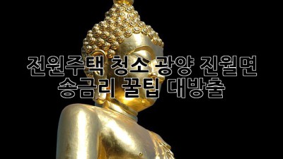 전원주택 청소🧹 광양 진월면 송금리🏡 꿀팁 대방출! ✨